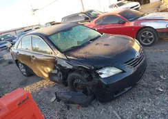 4T1BE46K89U264403: 44129091