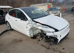 7SAYGDEE8TA456828: 44131737