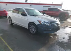 1HGCP2F87BA022013: 44131224