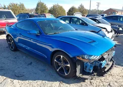 1FA6P8TH1M5154270: 44132559