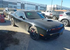 2C3CDZBT5JH146442: 44133017