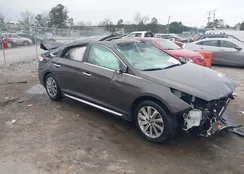 5NPE34AF7GH390969: 44132077