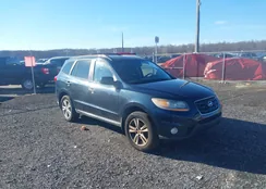 5NMSKDAG7AH371177: 44132192