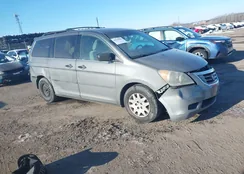 5FNRL38218B096093: 44133583