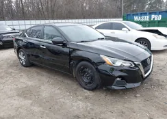 1N4BL4BV6LC167181: 44133619