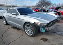 1FA6P8CF8G5336261: 44133749