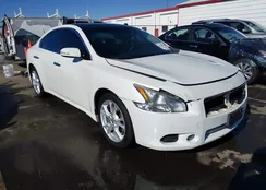 1N4AA5AP8DC847384: 44133813