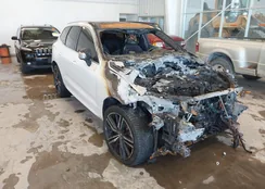 LYVBR0DM0KB283548: 44133824