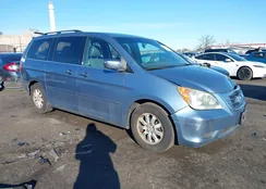 5FNRL38409B055621: 44133117