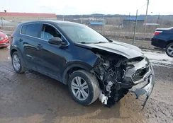 KNDPMCAC1H7255675: 44133331