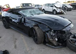 1FATP8FF1M5157229: 44134725