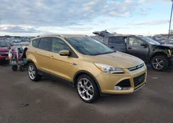 1FMCU0J98FUA07838: 44135503