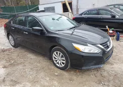 1N4AL3AP0GC216762: 44135534