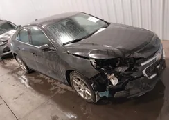 1G11C5SL4EF204877: 44135721