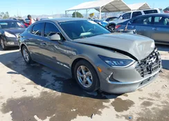 5NPEG4JAXMH092100: 44135811