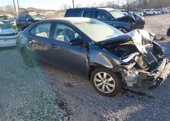 5YFBURHEXEP091485: 44135953