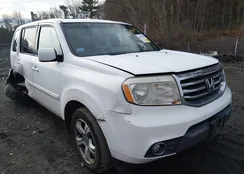 5FNYF4H54DB074859: 44135148