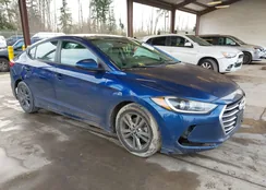 5NPD84LF0HH207391: 44135463