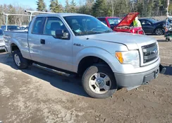 1FTEX1EM4EFA57843: 44135466