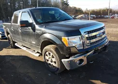 1FTFW1ET5DFA08115: 44136665