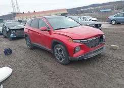 5NMJECAE7PH262299: 44137020