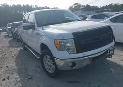 1FTFW1EF5BFD36044: 44137541