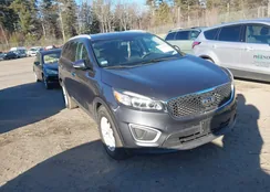 5XYPG4A31HG334456: 44137678