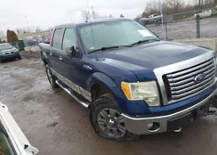 1FTFW1EF5BKD51229: 44137831