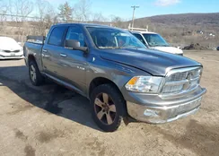 1D7RV1CT8AS259514: 44137857