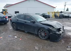 19UUB3F54FA005576: 44137935