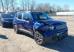 ZACCJBBB0JPH43077: 44138048