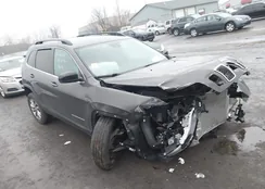 1C4PJMMX4ND502021: 44137190