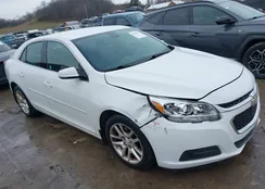 1G11C5SL8EF129567: 44138742