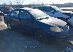 2T1BR32E94C299380: 44138788