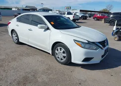 1N4AL3APXGN365104: 44138220