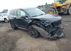 1GYKPDRS7PZ172171: 44139466