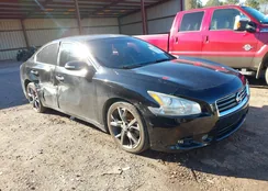 1N4AA5AP9EC910218: 44140356