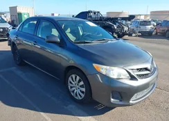 2T1BU4EE9CC761838: 44141570