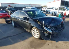 1HGCR3F83DA036784: 44141786