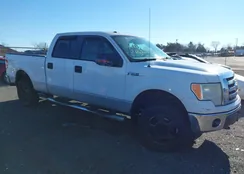 1FTFW1EV0AFA76576: 44142483