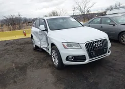 WA1LFAFP5DA019630: 44142579