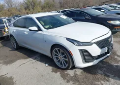 1G6DM5RK0M0114029: 44142750