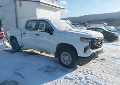 3GCPDAEKXPG100678: 44143428