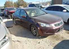 5KBCP3F80AB007817: 44144649