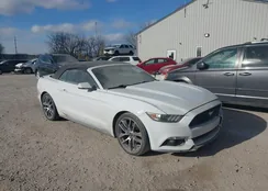 1FATP8UH6G5265502: 44145018