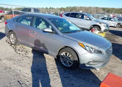 5NPE24AF2FH209407: 44145054