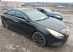 5NPEC4AC1BH195299: 44144132