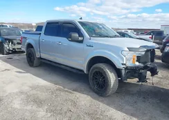 1FTEW1E53KKC20352: 44144467