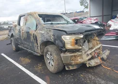 1FTEW1EG5JFD14144: 44145855