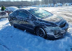 2HGFG1B85BH512657: 44145930